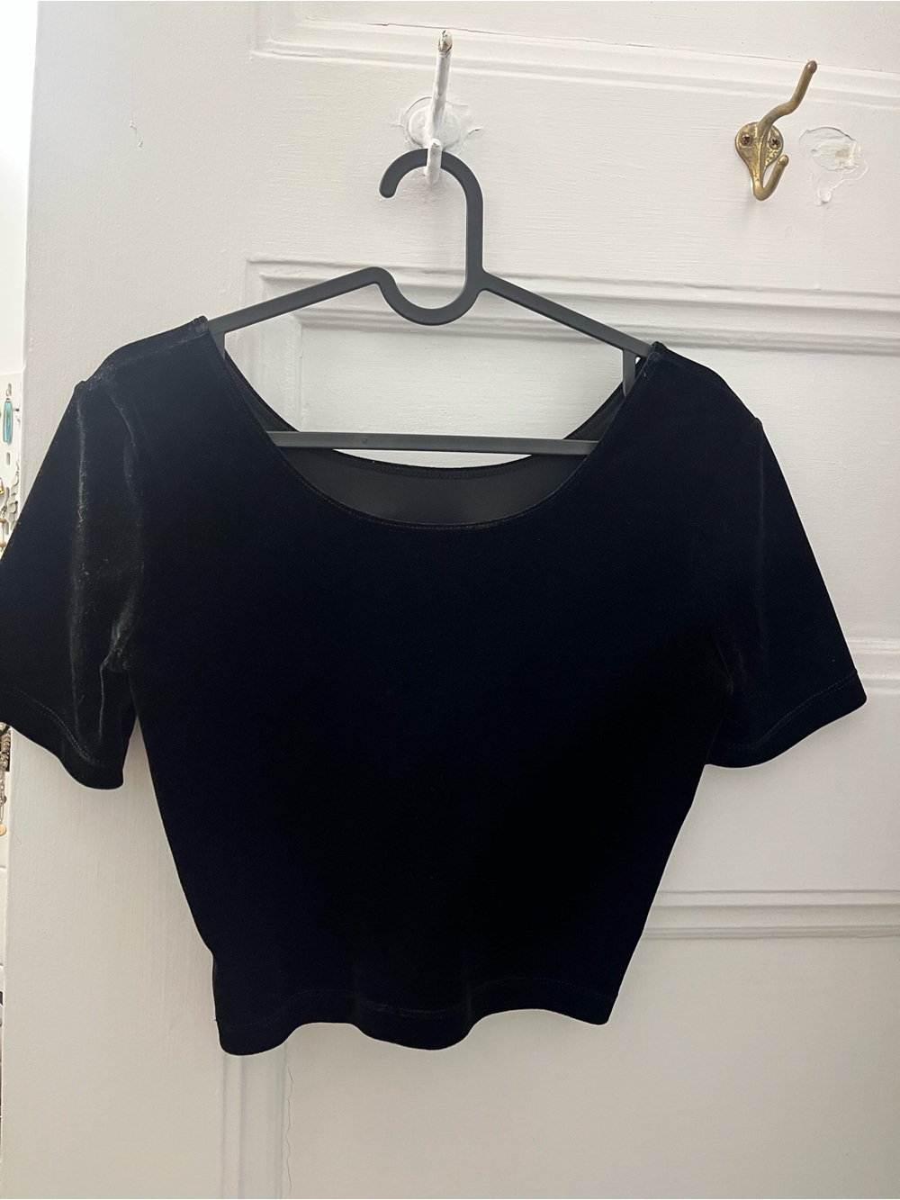 Black Velvet Short Sleeve Crop Top